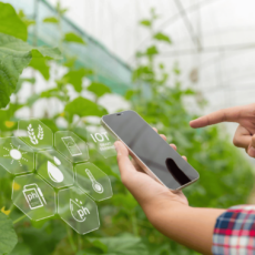 iot in agriculture